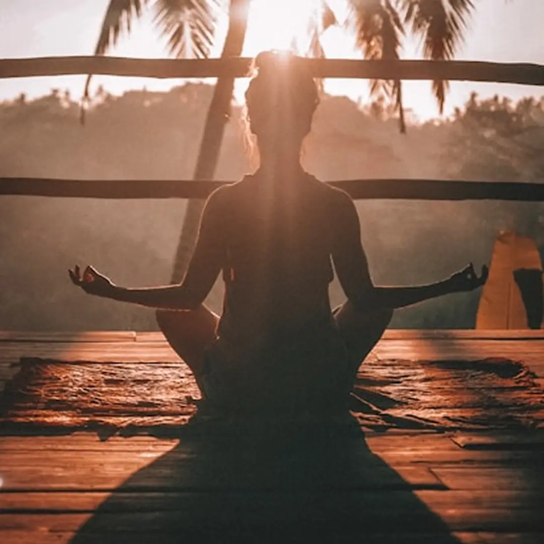 Wellness & Alternative Medicine